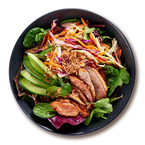 Peking Duck Bowl Salads